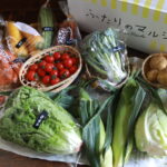 #005 江別アンビシャスファーム「ふたりのマルシェ」から届いたカラフル野菜